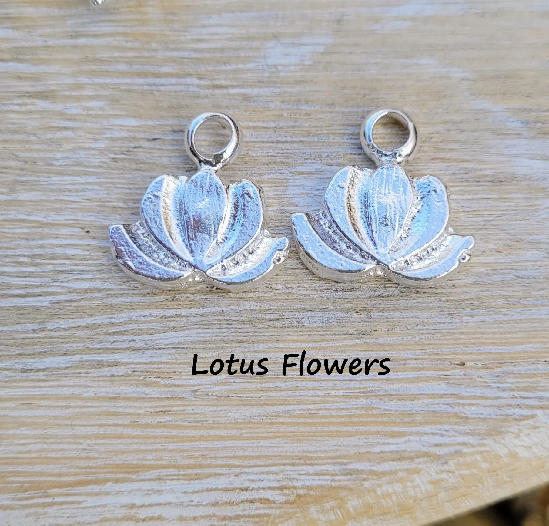 Extra Hoop Earrings Charms in Pairs