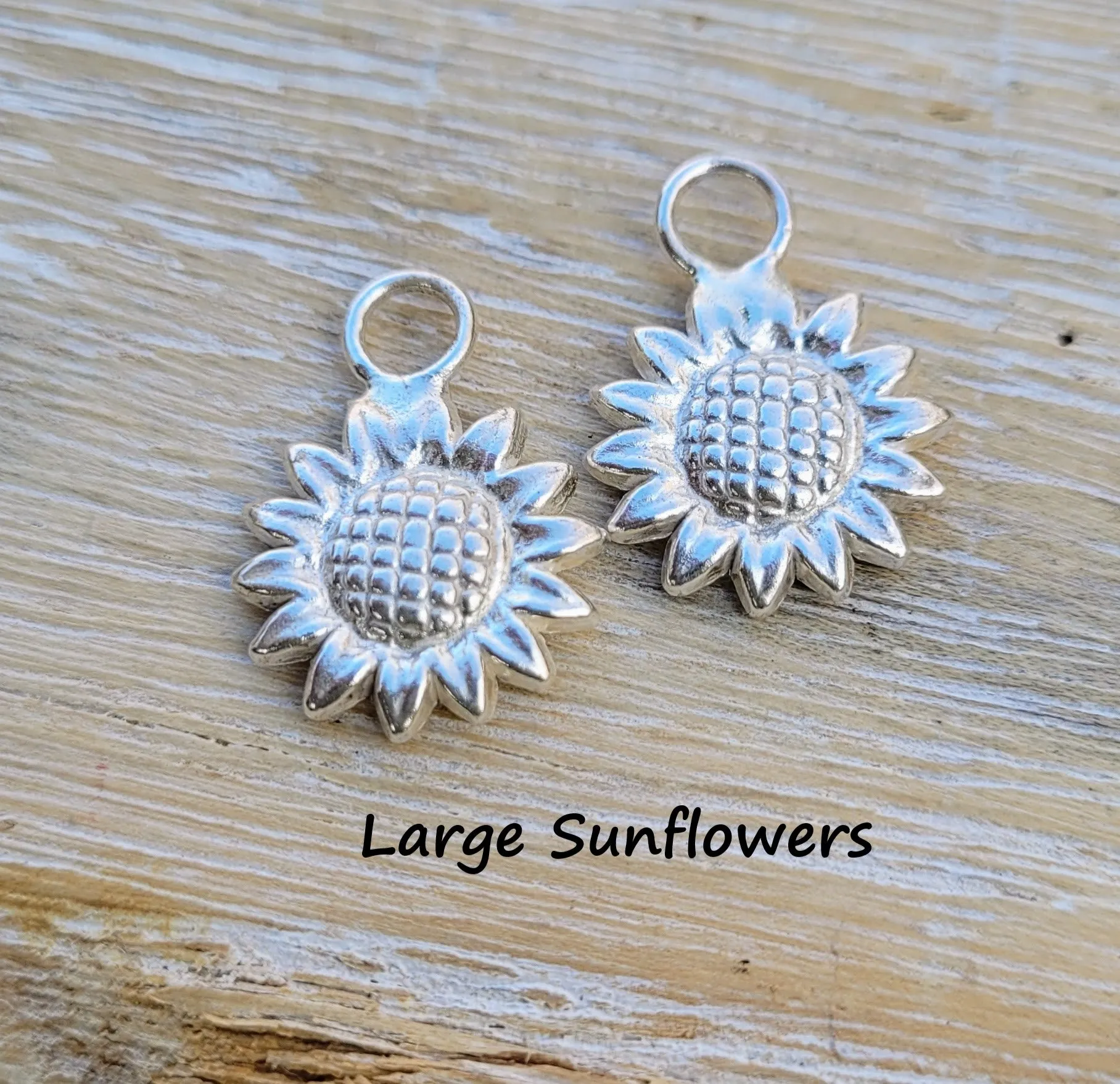 Extra Hoop Earrings Charms in Pairs