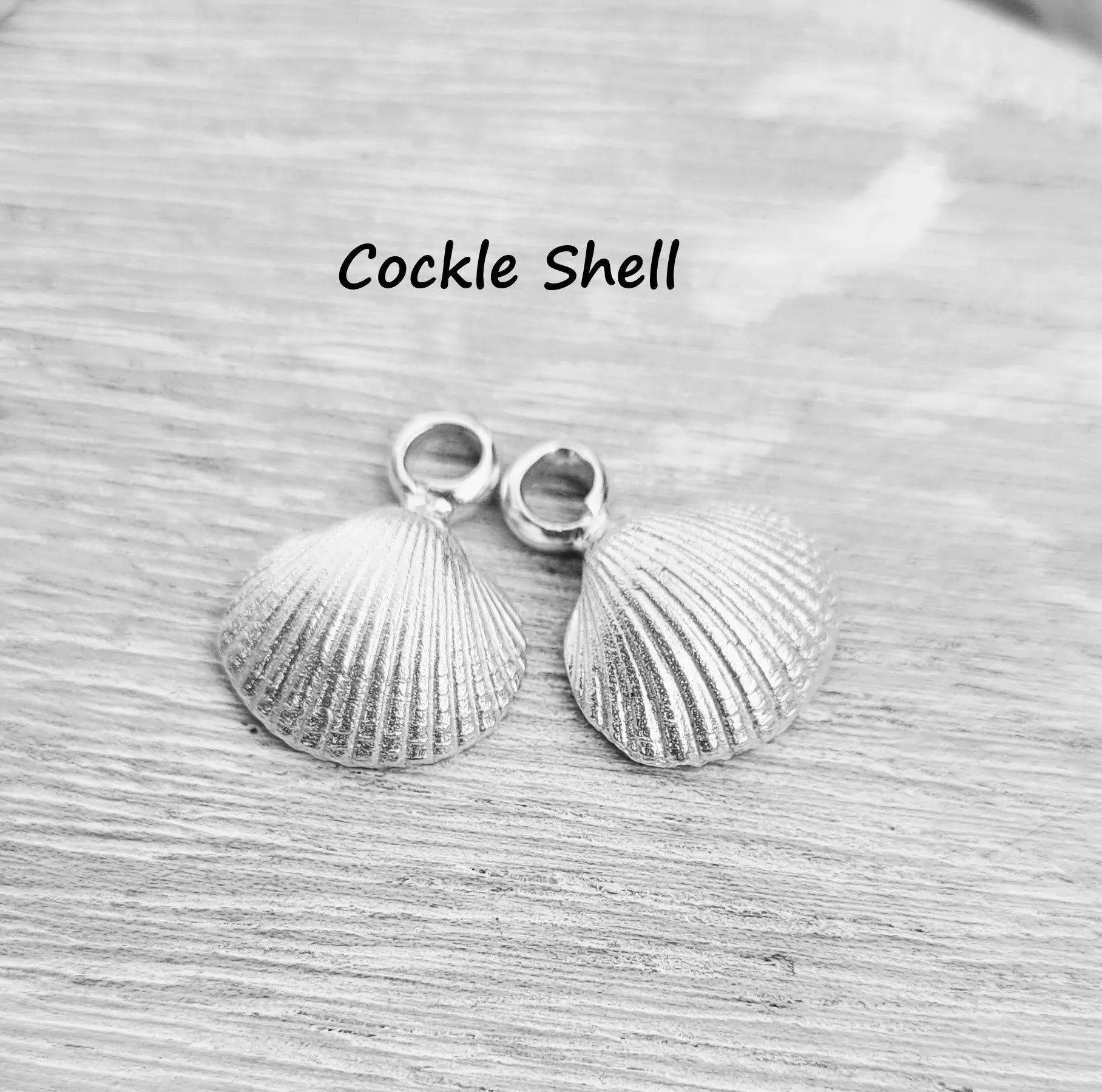 Extra Hoop Earrings Charms in Pairs